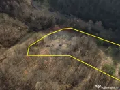 Poiană pentru cabana de vanzare intravilan Coas 