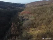 Poiană pentru cabana de vanzare intravilan Coas 