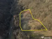 Poiană pentru cabana de vanzare intravilan Coas 