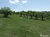 TEREN DE VÂNZARE ÎN PRELUCA NOUA 