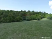 TEREN DE VÂNZARE ÎN PRELUCA NOUA 