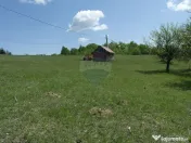 TEREN DE VÂNZARE ÎN PRELUCA NOUA 