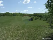 TEREN DE VÂNZARE ÎN PRELUCA NOUA 