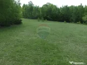 TEREN DE VÂNZARE ÎN PRELUCA NOUA 