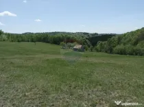 TEREN DE VÂNZARE ÎN PRELUCA NOUA