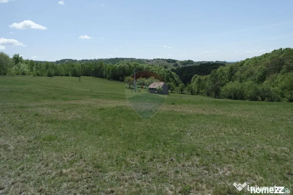 Teren de vanzare Preluca Nouă, 1.5 ha, potențial turistic