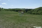 Teren de vanzare Preluca Nouă, 1.5 ha, potențial turistic