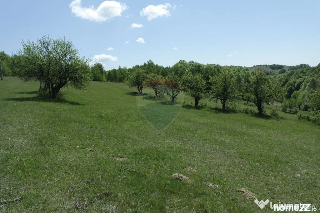 Teren de vanzare Preluca Nouă, 1.5 ha, potențial turistic