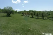 Teren de vanzare Preluca Nouă, 1.5 ha, potențial turistic