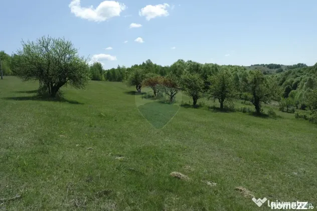Teren de vanzare Preluca Nouă, 1.5 ha, potențial turistic