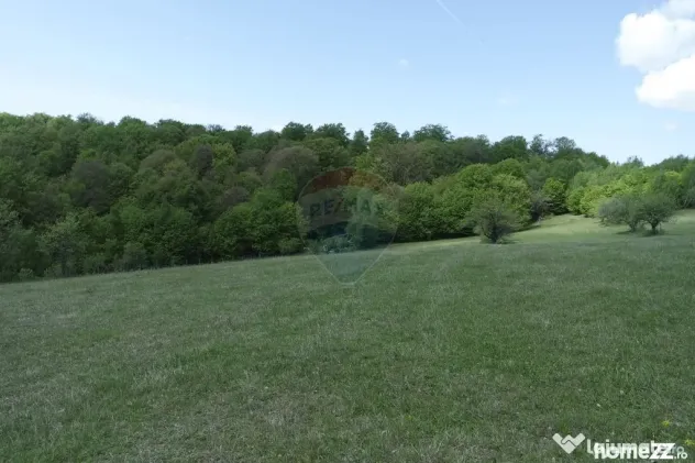 Teren de vanzare Preluca Nouă, 1.5 ha, potențial turistic