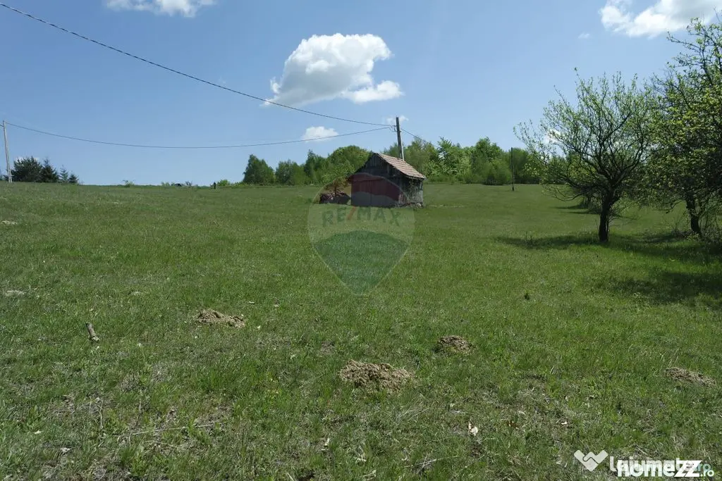 Teren de vanzare Preluca Nouă, 1.5 ha, potențial turistic