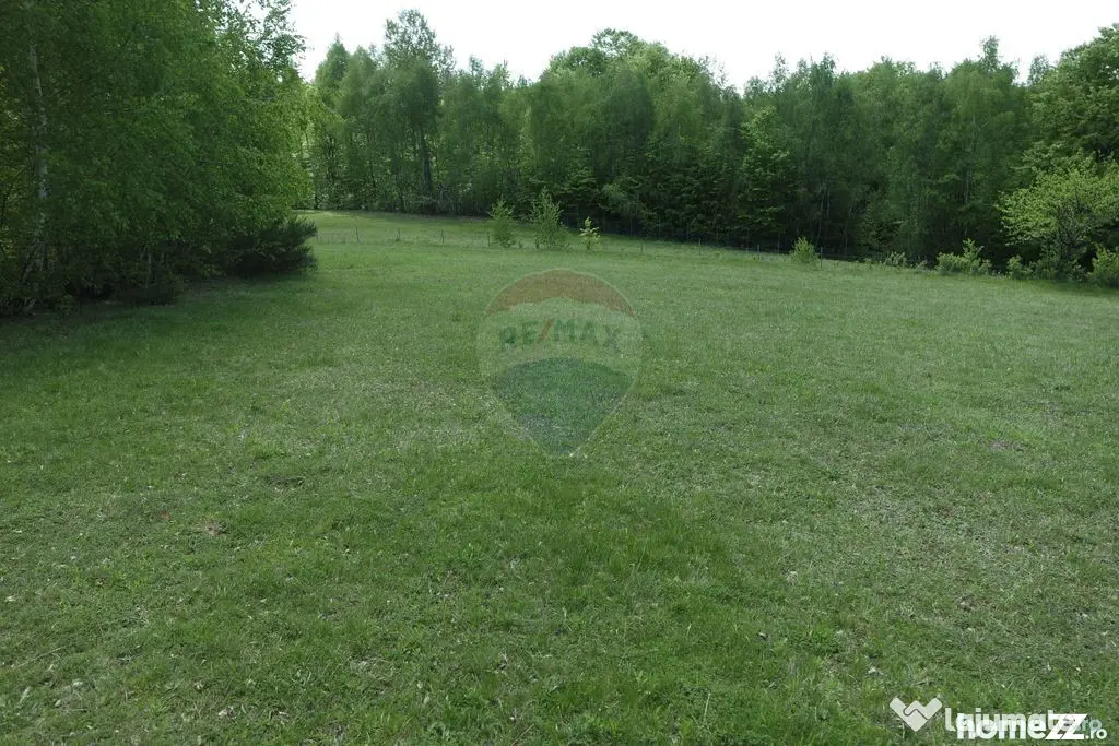 Teren de vanzare Preluca Nouă, 1.5 ha, potențial turistic