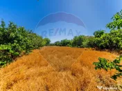 Casă cu 3 camere de vânzare în zona Gai, teren de 1249mp 