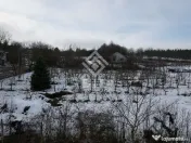 Teren Investitie Valea Jelnii 