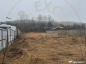 Teren 1758 mp DN7 - Prislopu Mare, Draganu! 