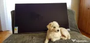 Televizor Super UHD Smart LG, 124 cm, 49SK8100PLA, 4K Ultra HD, Clasa A 