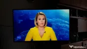Televizor Super UHD Smart LG, 124 cm, 49SK8100PLA, 4K Ultra HD, Clasa A 