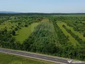 Teren Intravilan de Vanzare la Drum European 