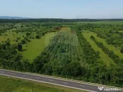 Teren Intravilan de Vanzare la Drum European 