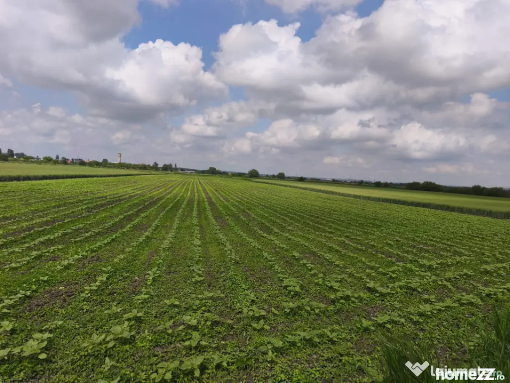 Teren intravilan, zona Scruntari, 8700mp, 30ml front stradal