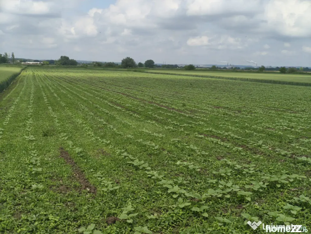 Teren intravilan, zona Scruntari, 8700mp, 30ml front stradal