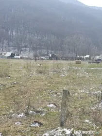 Oportunitate! TEREN INTRAVILAN CU SUPRAFATA DE 5200 MP