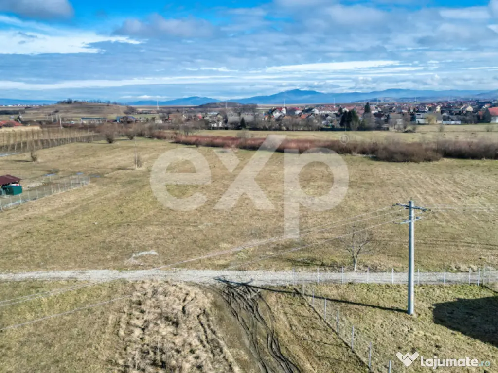 Teren 3.120 mp cu potențial de dezvoltare – Săcele | Pos