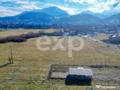 Teren 3.120 mp cu potențial de dezvoltare – Săcele | Pos 