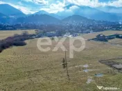 Teren 3.120 mp cu potențial de dezvoltare – Săcele | Pos 