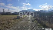 Teren 3.120 mp cu potențial de dezvoltare – Săcele | Pos 