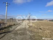 Teren 3.120 mp cu potențial de dezvoltare – Săcele | Pos 