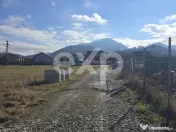 Teren 3.120 mp cu potențial de dezvoltare – Săcele | Pos 