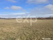 Teren 3.120 mp cu potențial de dezvoltare – Săcele | Pos 