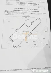 Teren Intravilan 3300 mp Tudor Neculai - CUG, Utilități, D 