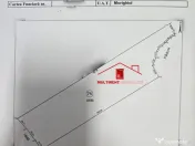 Teren intraviloan situat in Dunavatu de jos - langa padure si islaz! 