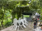 Casa 3 Camere, Strada Zambilelor 