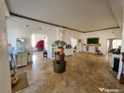 Vila cu piscina - teren generos și potențial multifuncțional 