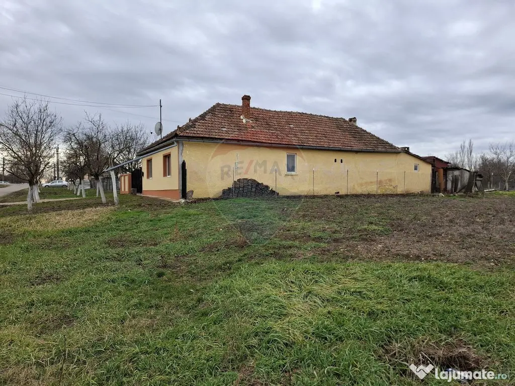 Teren intravilan 1,241mp Frumușeni, Arad