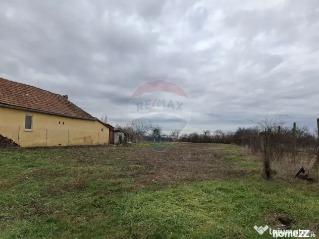 Teren intravilan 1,241mp Frumușeni, Arad