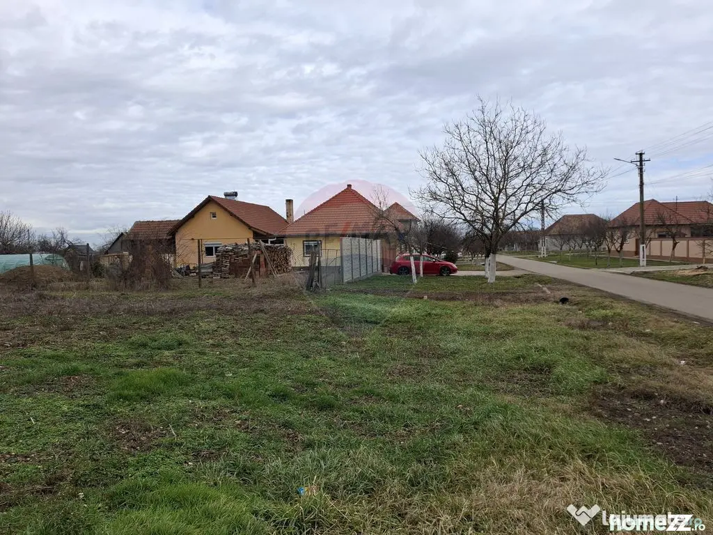 Teren intravilan 1,241mp Frumușeni, Arad