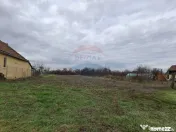 Teren intravilan 1,241mp Frumușeni, Arad 
