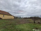 Teren intravilan 1,241mp Frumușeni, Arad 