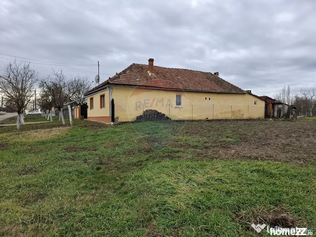 Teren intravilan 1,241mp Frumușeni, Arad