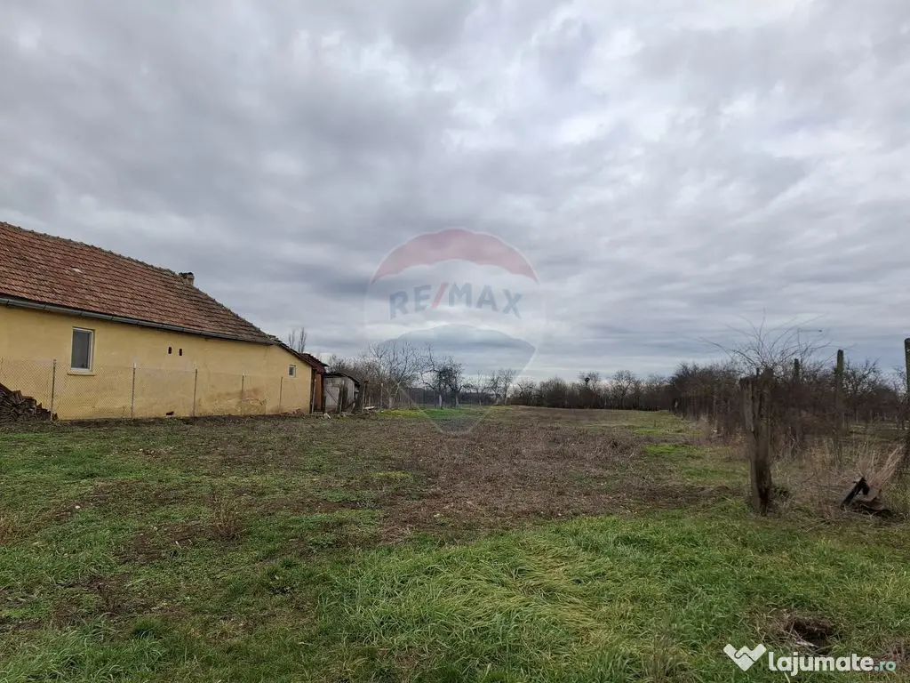 Teren intravilan 1,241mp Frumușeni, Arad