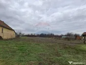 Teren intravilan 1,241mp Frumușeni, Arad 
