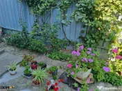 Garsoniera in Vila CEnTRaL 