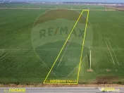 Teren 10,000mp Focsani / DJ 204D 