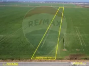 Teren 10,000mp Focsani / DJ 204D 