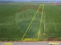 Teren 10,000mp Focsani / DJ 204D